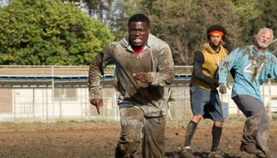 Шафер напрокат 2015