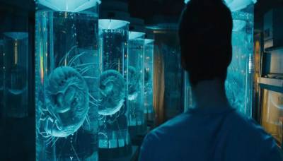 Бегущий в лабиринте 2 Испытание огнем 2015